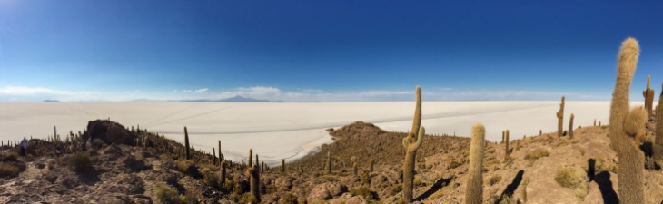 Vista do topo da ilha Incahuasi.