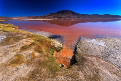 Devido à grande quantidade de algas que vivem nessa lagoa salgada, a cor vermelha tinge suas águas e servem de alimento para os flamingos.